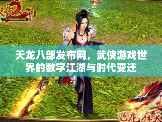 天龙八部发布网，武侠游戏世界的数字江湖与时代变迁