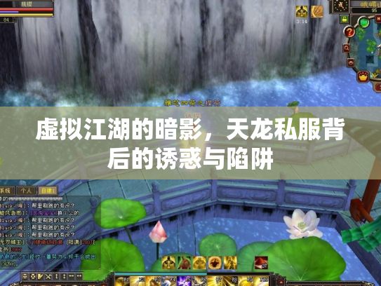虚拟江湖的暗影，天龙私服背后的诱惑与陷阱