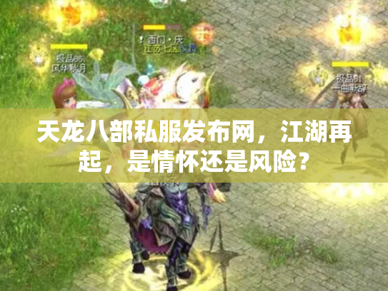 天龙八部私服发布网，江湖再起，是情怀还是风险？