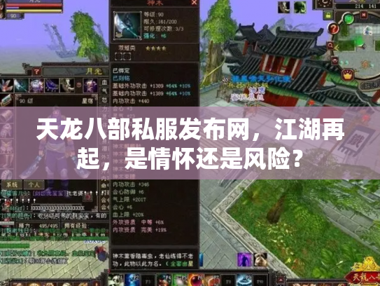 天龙八部私服发布网，江湖再起，是情怀还是风险？