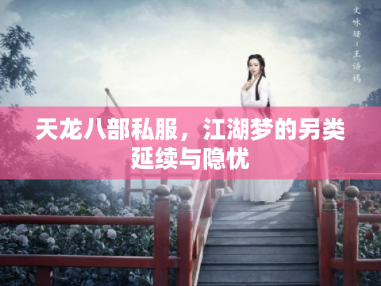 天龙八部私服，江湖梦的另类延续与隐忧