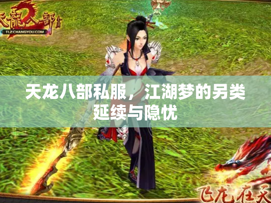 天龙八部私服，江湖梦的另类延续与隐忧