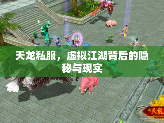 天龙私服，虚拟江湖背后的隐秘与现实