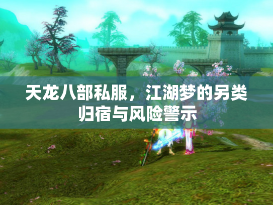 天龙八部私服，江湖梦的另类归宿与风险警示