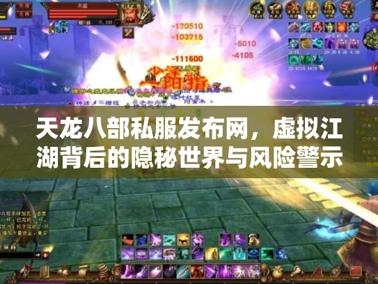 天龙八部私服发布网，虚拟江湖背后的隐秘世界与风险警示