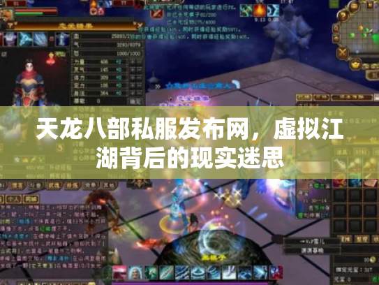 天龙八部私服发布网，虚拟江湖背后的现实迷思