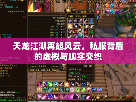 天龙江湖再起风云，私服背后的虚拟与现实交织