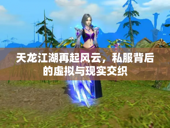 天龙江湖再起风云，私服背后的虚拟与现实交织