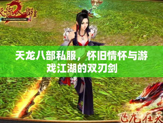 天龙八部私服，怀旧情怀与游戏江湖的双刃剑