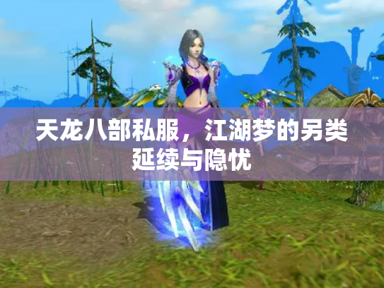 天龙八部私服，江湖梦的另类延续与隐忧