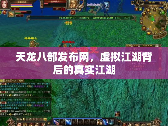 天龙八部发布网，虚拟江湖背后的真实江湖
