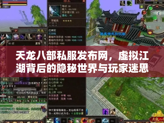 天龙八部私服发布网，虚拟江湖背后的隐秘世界与玩家迷思