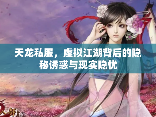 天龙私服，虚拟江湖背后的隐秘诱惑与现实隐忧