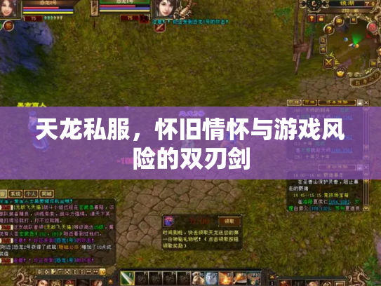天龙私服，怀旧情怀与游戏风险的双刃剑