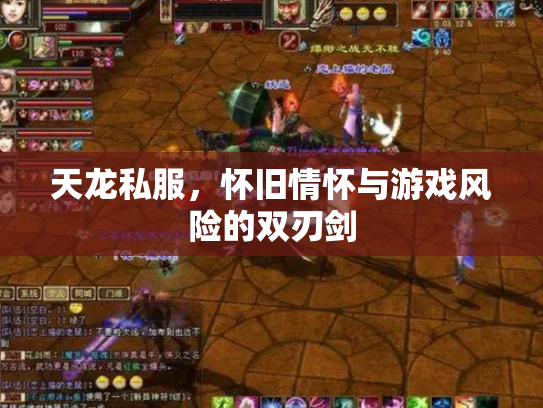 天龙私服，怀旧情怀与游戏风险的双刃剑