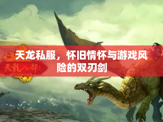 天龙私服，怀旧情怀与游戏风险的双刃剑