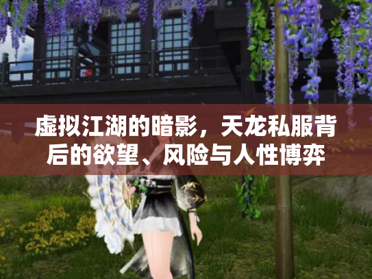 虚拟江湖的暗影，天龙私服背后的欲望、风险与人性博弈