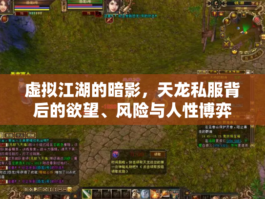 虚拟江湖的暗影，天龙私服背后的欲望、风险与人性博弈