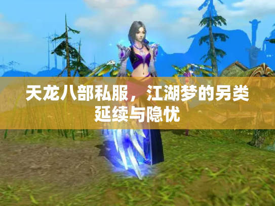 天龙八部私服，江湖梦的另类延续与隐忧
