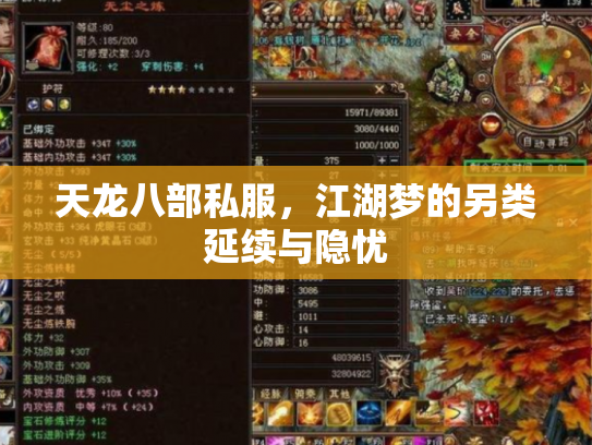 天龙八部私服，江湖梦的另类延续与隐忧