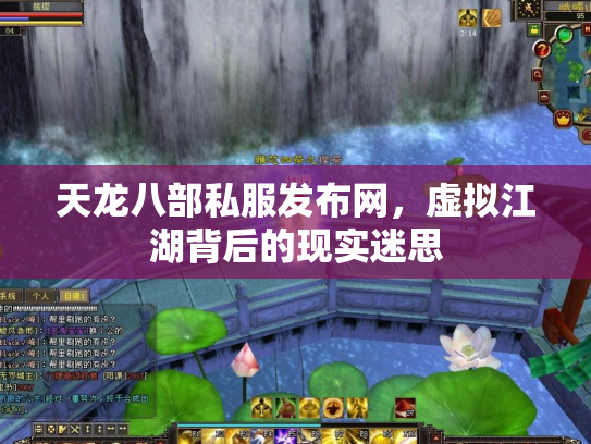天龙八部私服发布网，虚拟江湖背后的现实迷思