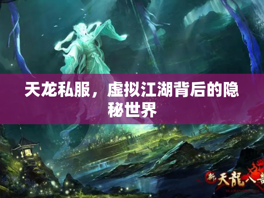 天龙私服，虚拟江湖背后的隐秘世界