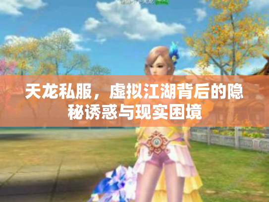 天龙私服，虚拟江湖背后的隐秘诱惑与现实困境