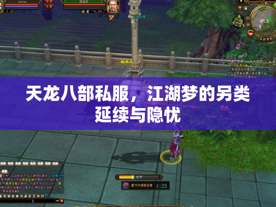 天龙八部私服，江湖梦的另类延续与隐忧