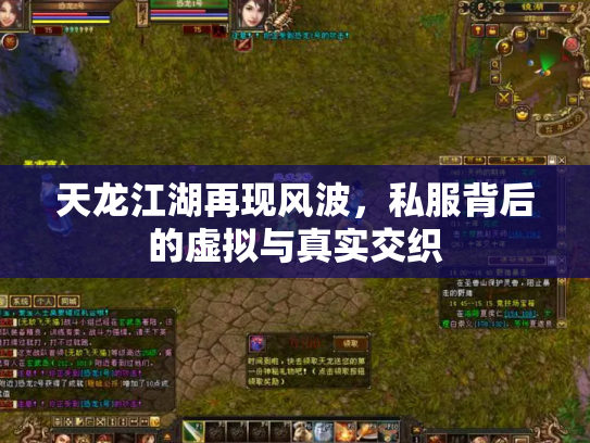 天龙江湖再现风波，私服背后的虚拟与真实交织