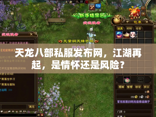 天龙八部私服发布网，江湖再起，是情怀还是风险？