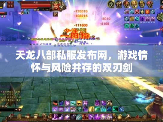 天龙八部私服发布网，游戏情怀与风险并存的双刃剑