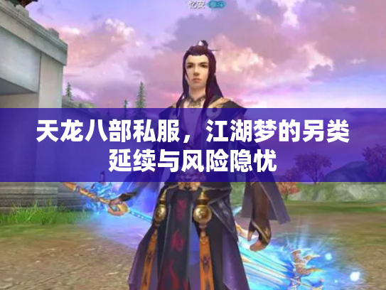 天龙八部私服，江湖梦的另类延续与风险隐忧