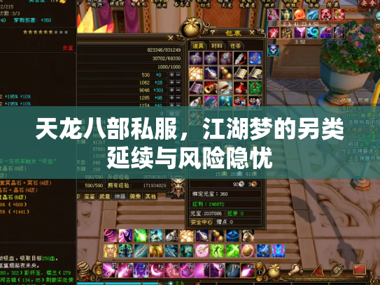 天龙八部私服，江湖梦的另类延续与风险隐忧
