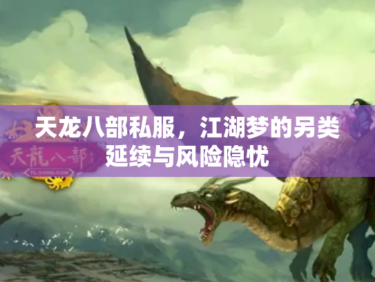 天龙八部私服，江湖梦的另类延续与风险隐忧