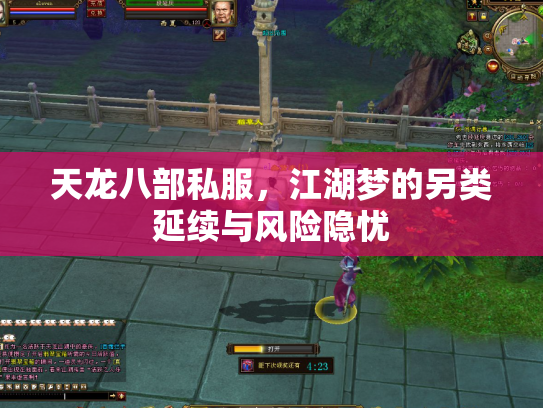天龙八部私服，江湖梦的另类延续与风险隐忧