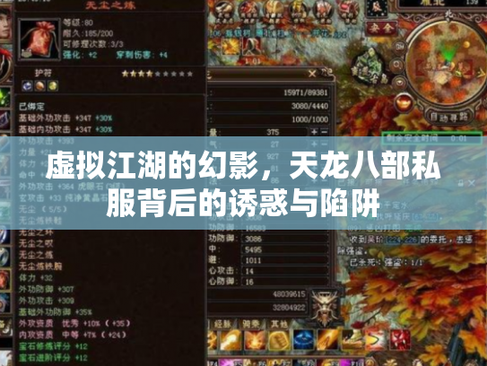 虚拟江湖的幻影，天龙八部私服背后的诱惑与陷阱