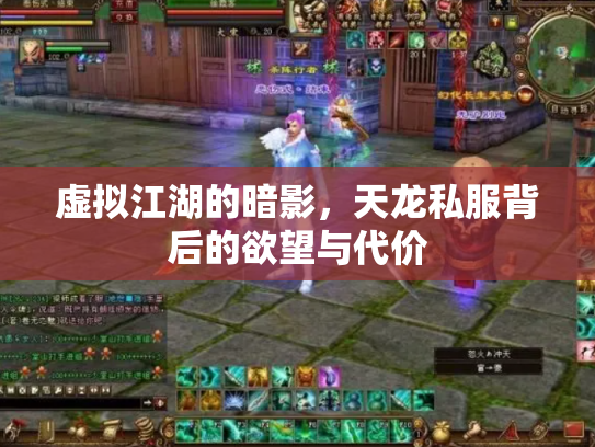 虚拟江湖的暗影，天龙私服背后的欲望与代价