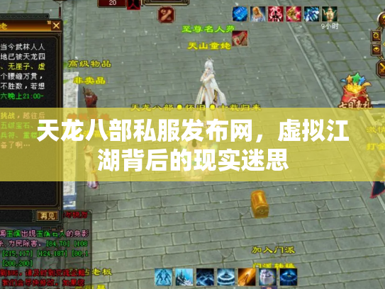 天龙八部私服发布网，虚拟江湖背后的现实迷思