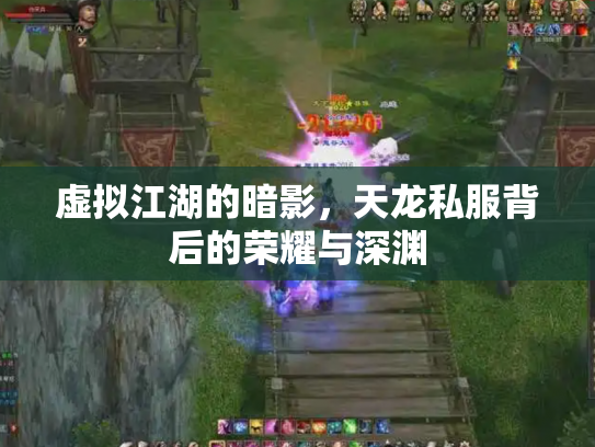 虚拟江湖的暗影，天龙私服背后的荣耀与深渊