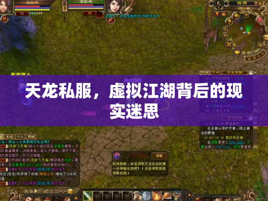 天龙私服，虚拟江湖背后的现实迷思