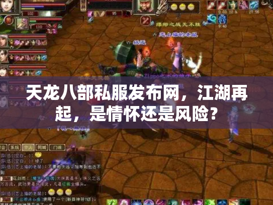 天龙八部私服发布网，江湖再起，是情怀还是风险？