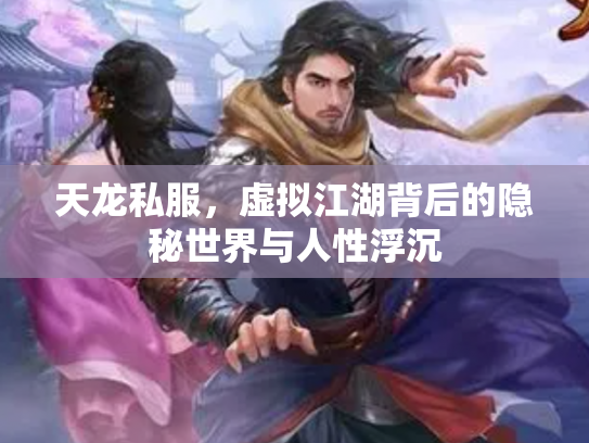 天龙私服，虚拟江湖背后的隐秘世界与人性浮沉