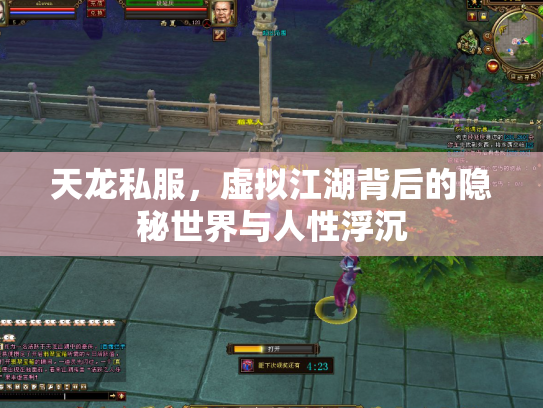 天龙私服，虚拟江湖背后的隐秘世界与人性浮沉
