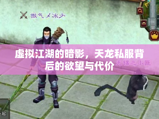 虚拟江湖的暗影，天龙私服背后的欲望与代价