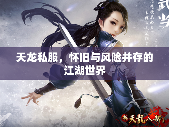 天龙私服，怀旧与风险并存的江湖世界