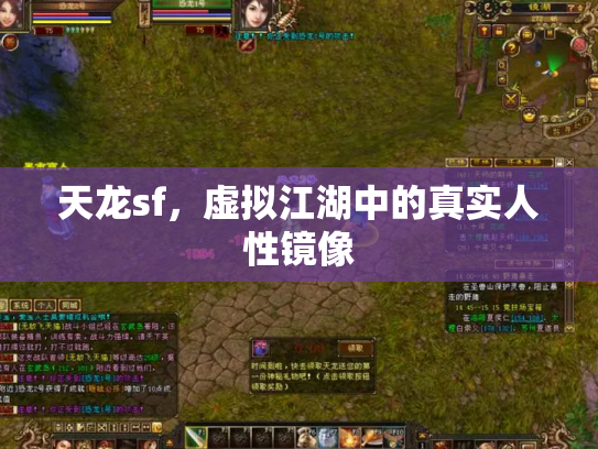 天龙sf，虚拟江湖中的真实人性镜像