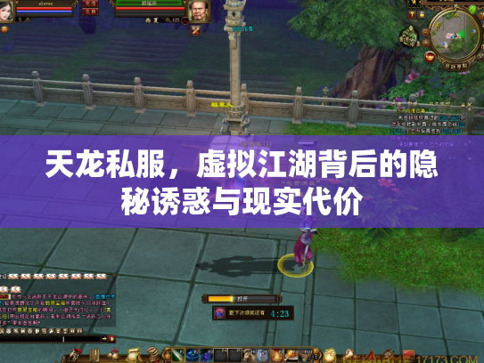 天龙私服，虚拟江湖背后的隐秘诱惑与现实代价