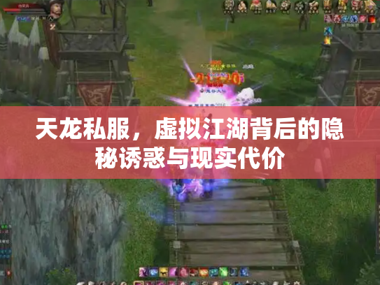 天龙私服，虚拟江湖背后的隐秘诱惑与现实代价