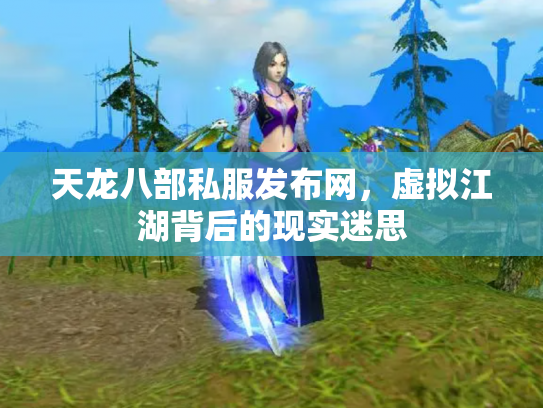 天龙八部私服发布网，虚拟江湖背后的现实迷思