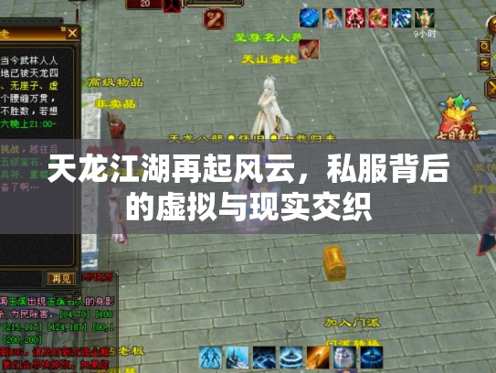 天龙江湖再起风云，私服背后的虚拟与现实交织